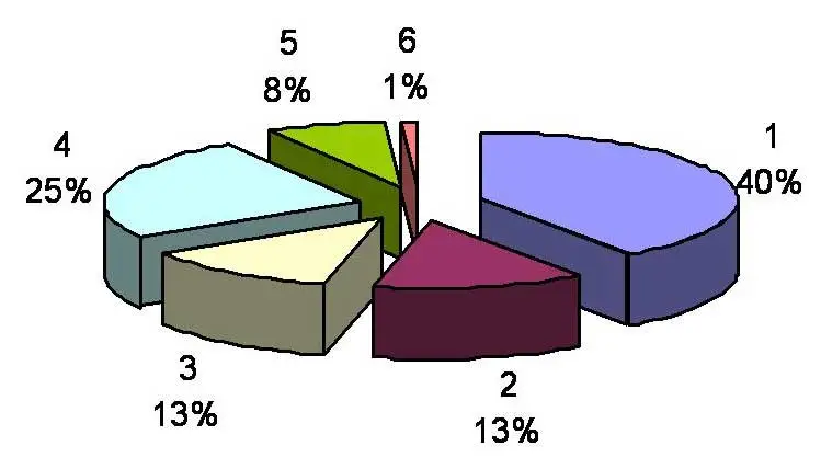 Präsentation: Armutsbericht der Region (2010)